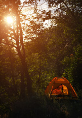 lonely orange tent in a deserted forest at sunset dawn. tourism, vacation, camp, wildlife