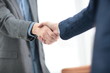 © ASDF - businessman shaking hands to seal a deal with his partner