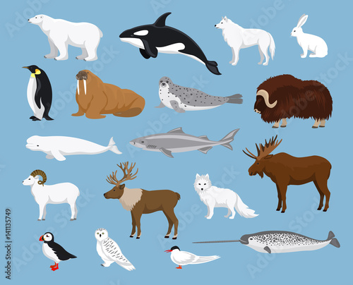 Cuadros en Lienzo Arctic animals collection with reindeer, orca, narwhal, shark, musk ox, fox, wol
