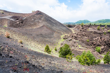 volcanic landscape with old craters of Etna mount