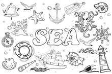 Black White Drawing. Doodle. Vector Set Of Elements Of The Sea.