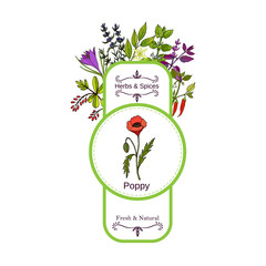 Wall Mural - Vintage herbs and spices label collection. Poppy