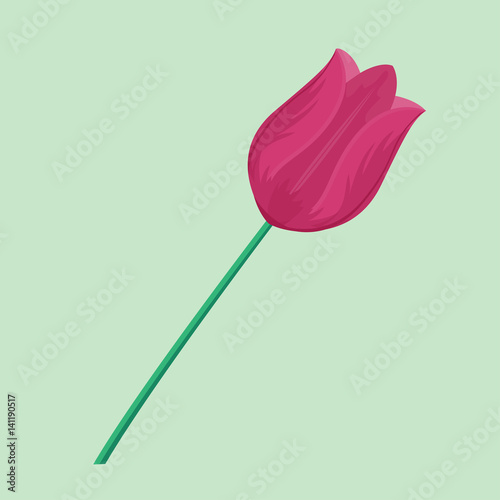 Vintage pink tulip flower can be used as greeting card invitation card for we...