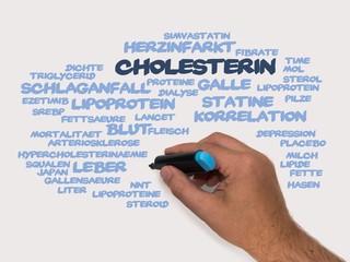 Poster - Cholesterin