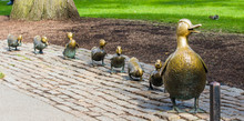 Boston Public Garden With Its Famous Duck Family Brass Statues