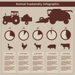 Animal husbandry infographic, vector, flat design, elements