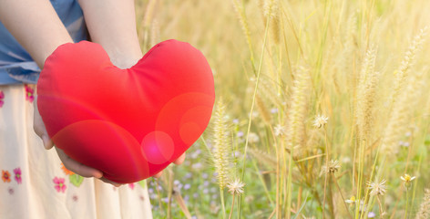 Wall Mural - Women hand gently hold red heart on wild grass flower field background