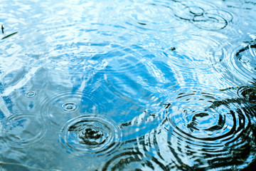 Wall Mural - rainy weather