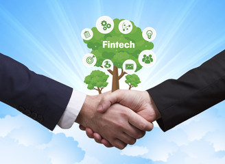 Technology, the Internet, business and network concept. Businessmen shake hands: Fintech