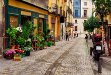 Old Street With Flowers In Madrid. Spain