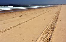 Horizontal Landscape Of The Beach With Tyre Track In The Foreground And Dramatic Clouds (Belmont, Nine Miles Beach, NSW, Australia)
