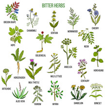 Bitter Herbs Collection