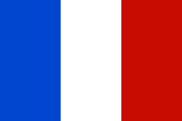 Wall Mural - Official national flag of France