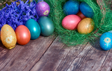 Easter eggs in nest on old wooden background with blue hyacinths flower