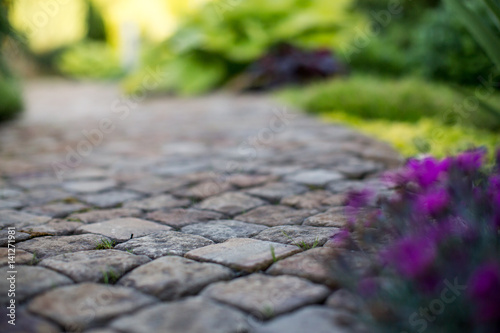 Fotografía texture paving stones with grass