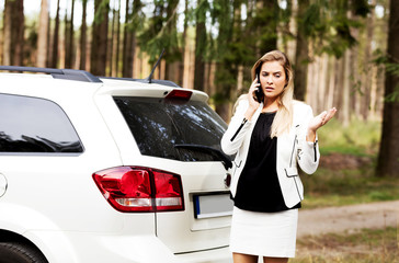 Wall Mural - Businesswoman on the phone