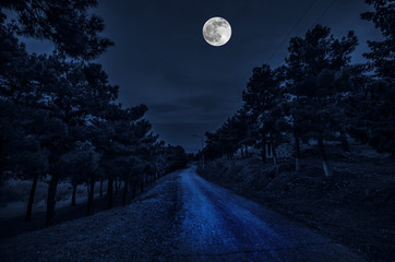 beautiful landscape village street with buildings and trees and big full moon at the night sky. big 