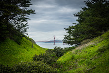 Golden Gate Through The Trees. California, United States.