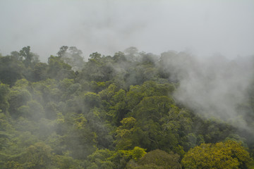  Sea of mist on mountain with tropical rainforest