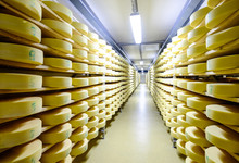 Cheese Warehouse