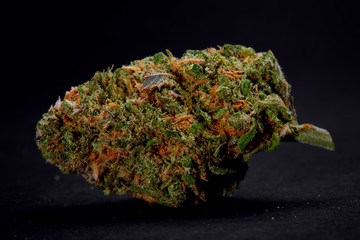 Close up of Blue Dream medical marijuana bud