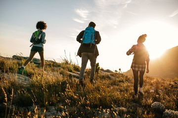 Wall Mural - three young friends on a country hike