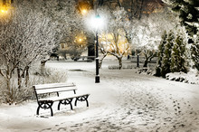Street Light And A Bench. Snow On Trees In Riga Old Town Park By Night