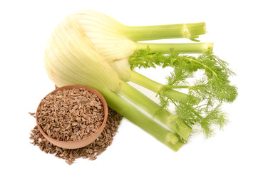 Sticker - fennel