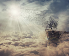 Young Man Standing On The Peak Of A Cliff Over Clouds Watching At A Flock Of Birds Flying From A Strange, Bare Tree. The Tree Of Death Symbol, Journey And Discover.
