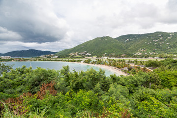 Sticker - Cove Beach in Tropical Jungle