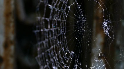 close up of a spider web on black background