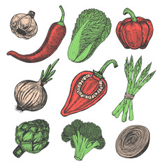 Wall Mural - Set hand drawn elements with sketch style fresh vegetables. Different peppers.