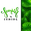 vector illustration of hand lettering poster - summer is coming with paper sheet on a background monstera leaves
