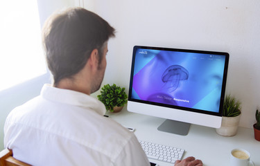 Poster - man designing website on computer