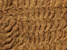 Patterned Mud And Straw Background Of Rajasthan Fuel Store