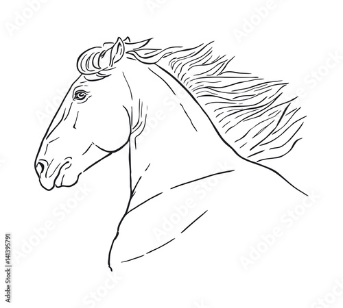 Horse Head Drawing Outline ~ Drawing Tutorial Easy