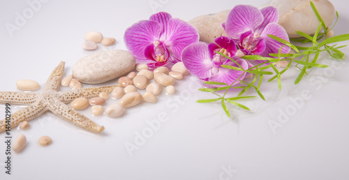 Fototapeta do kuchni Spa background with stones and purple orchid isolated on white