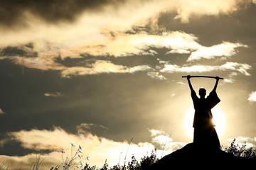 Wall Mural - Fighter with a sword silhouette a sky ninja