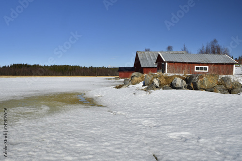 Fotografie, Obraz Melting sea ice in spring sun and rocks and three red boathouse