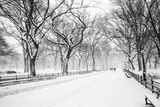 Fototapeta Miasta - Blizzard in Central Park. Manhattan