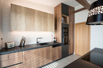 Contemporary kitchen interior