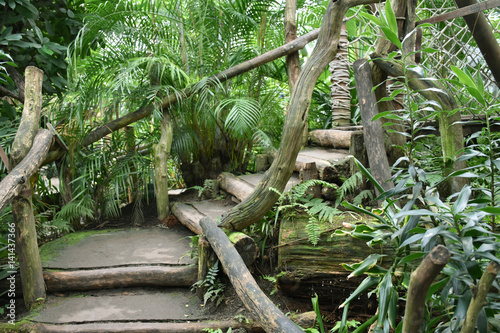 Leipzig Germany Stairs In Gondwanaland Of The Leipzig Zoo Indoor Buy This Stock Photo And Explore Similar Images At Adobe Stock Adobe Stock
