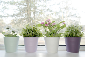 flower pots