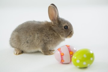 Wall Mural - Easter eggs and Easter bunny