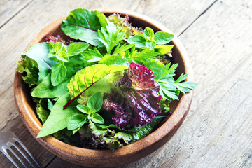 Wall Mural - green mixed salad leaves