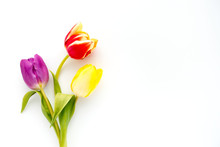 Top View Of Three Tulips In Yellow, Purple And Red Colors On White Background With Lots Of Copy Space.