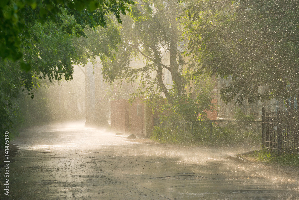 Torrential rain and sunlight on the street. - obrazy, fototapety, plakaty 