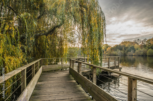 Obraz w ramie Passerelle sur l'Erdre en automne (Nantes, Loire Atlantique)