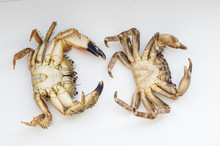 Crab On Its Back On A White Background