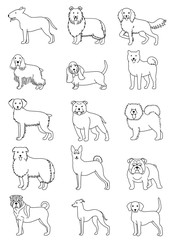  medium dog breeds line art set